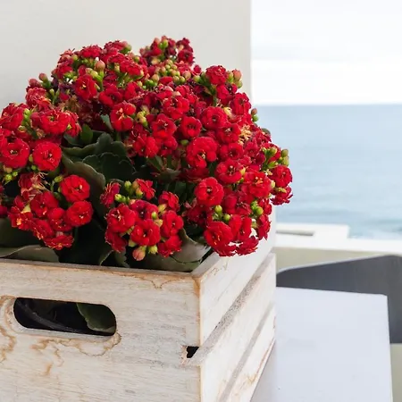 El Refugio De Pilar アパート *